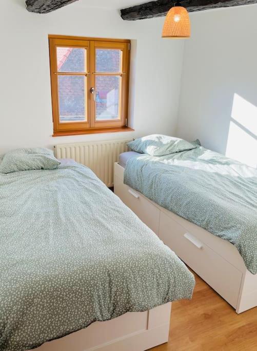 Bien Dans Vos Schlopps Vila Dambach Exterior foto